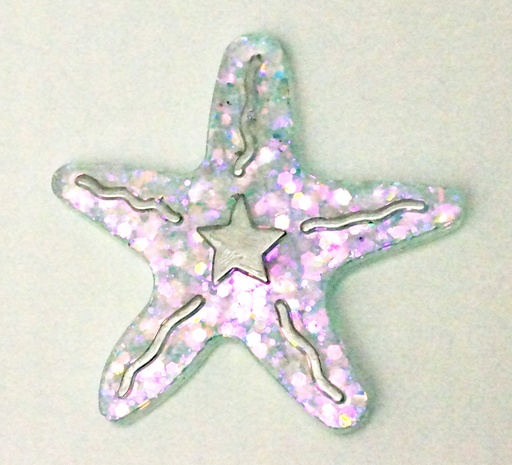 Aimant Grande étoile de mer